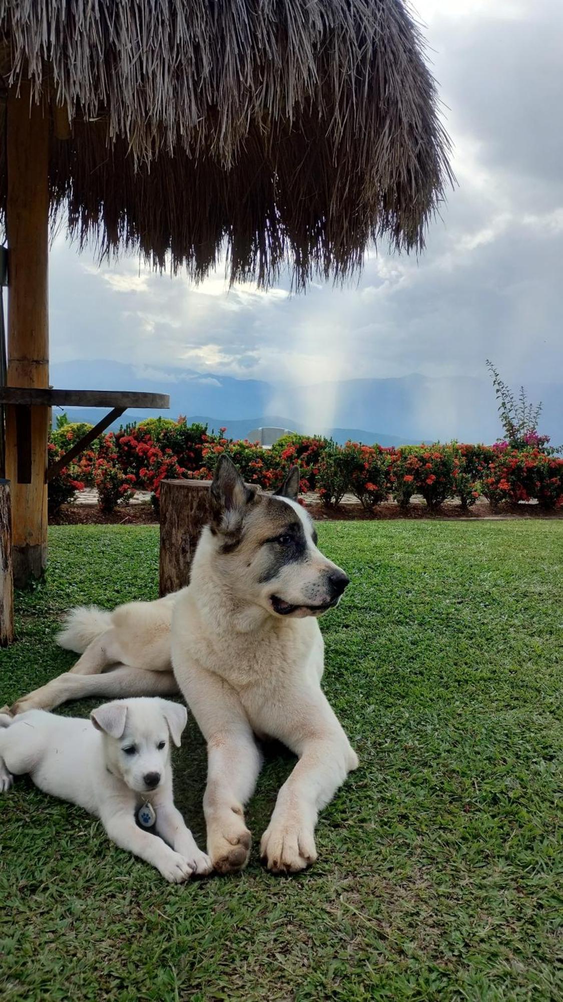 Nalua Glamping Y Hotel San Jerónimo Exteriér fotografie
